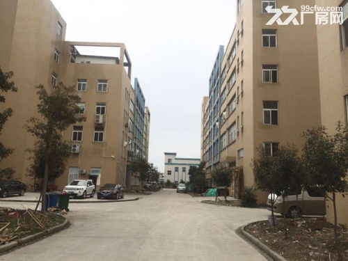 東西湖愛迪克斯工業(yè)園870平米全新標準廠房二樓出租僅剩一套